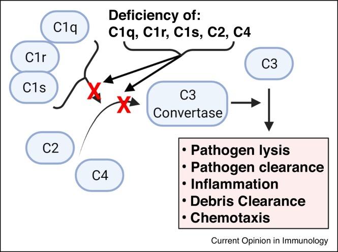 https://cdn.ncbi.nlm.nih.gov/pmc/blobs/c8cd/8452259/22dd2d9e024a/gr3_lrg.jpg