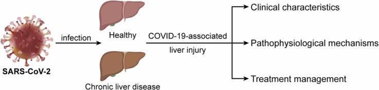 https://cdn.ncbi.nlm.nih.gov/pmc/blobs/c8cf/9381432/95bc53197163/ga1_lrg.jpg