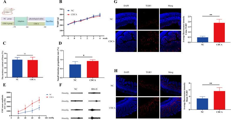https://cdn.ncbi.nlm.nih.gov/pmc/blobs/c8d1/10949424/351b064cce48/msystems.01299-23.f006.jpg