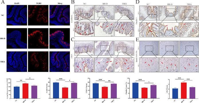 https://cdn.ncbi.nlm.nih.gov/pmc/blobs/c8d1/10949424/f2251eafe6c6/msystems.01299-23.f005.jpg