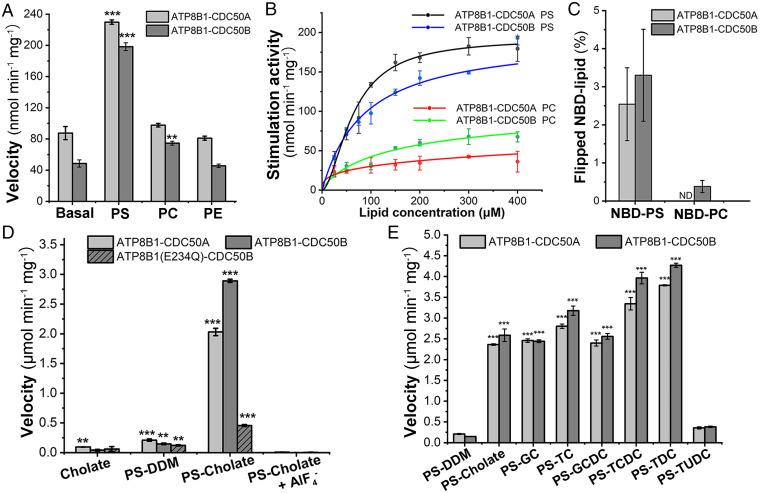 https://cdn.ncbi.nlm.nih.gov/pmc/blobs/c8d1/9168909/3501276a7ed0/pnas.2118656119fig01.jpg
