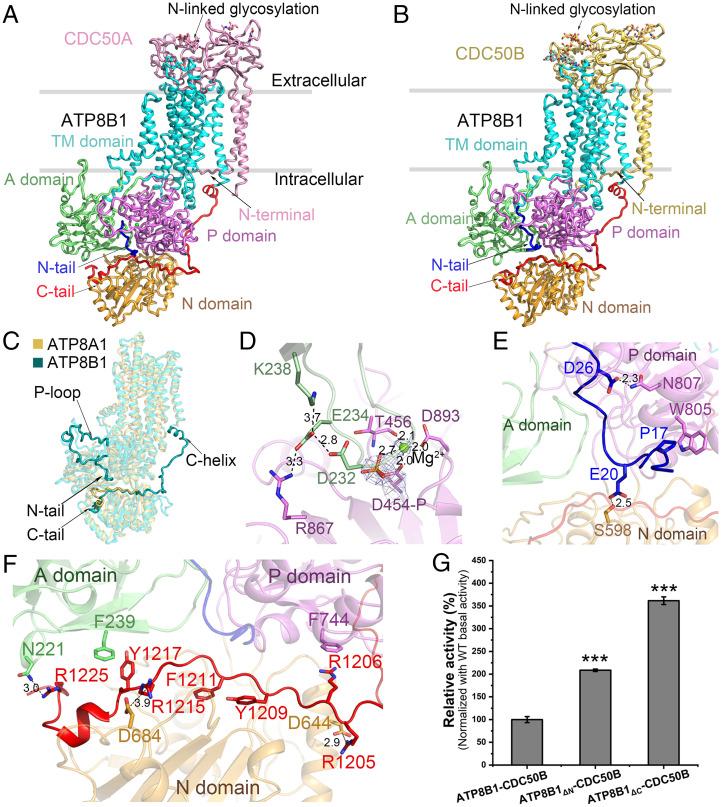 https://cdn.ncbi.nlm.nih.gov/pmc/blobs/c8d1/9168909/bacec783c0c9/pnas.2118656119fig02.jpg