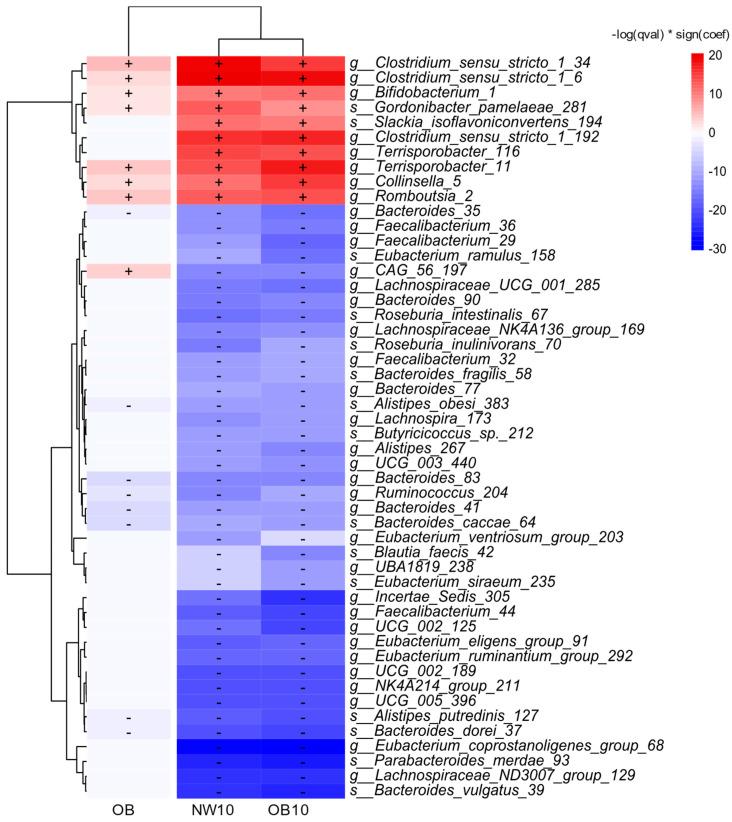 https://cdn.ncbi.nlm.nih.gov/pmc/blobs/c8d3/11755556/4d476e9ae903/jox-15-00014-g003.jpg