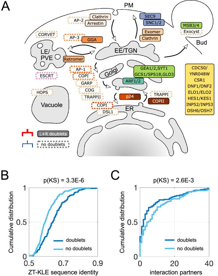 https://cdn.ncbi.nlm.nih.gov/pmc/blobs/c8d5/9250509/3d0e3205c566/41598_2022_15419_Fig3_HTML.jpg