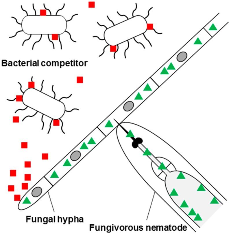 https://cdn.ncbi.nlm.nih.gov/pmc/blobs/c8d6/6272156/d1d69968de08/molecules-20-08144-g001.jpg