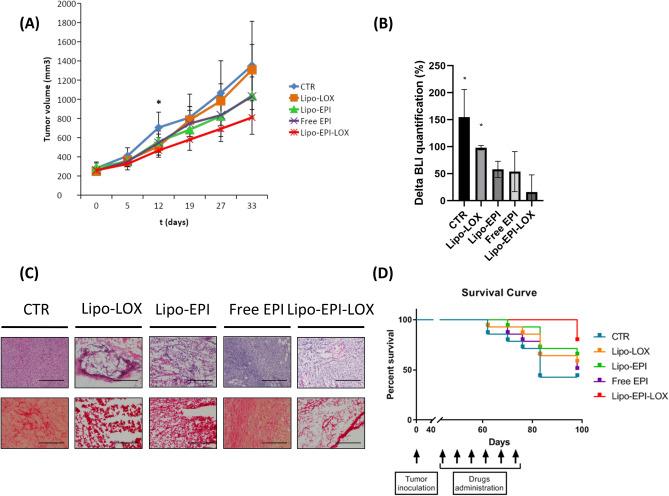 https://cdn.ncbi.nlm.nih.gov/pmc/blobs/c8d6/7930284/0bd8592a6159/41598_2021_84492_Fig4_HTML.jpg