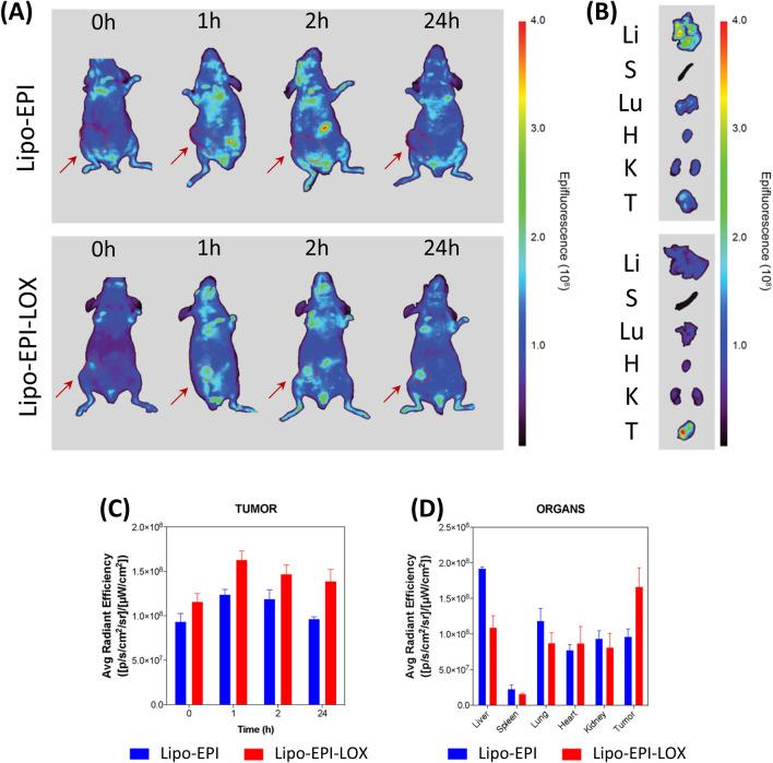 https://cdn.ncbi.nlm.nih.gov/pmc/blobs/c8d6/7930284/bbe788167f13/41598_2021_84492_Fig3_HTML.jpg