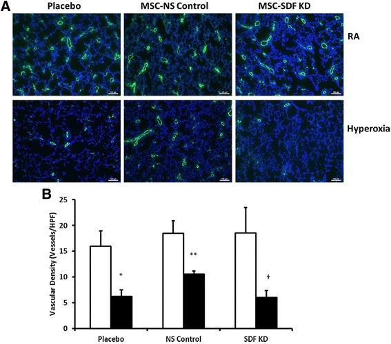 https://cdn.ncbi.nlm.nih.gov/pmc/blobs/c8d8/5506612/0f62a656f2cf/12931_2017_620_Fig3_HTML.jpg