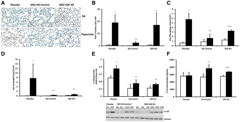 https://cdn.ncbi.nlm.nih.gov/pmc/blobs/c8d8/5506612/1079bb6cbfc6/12931_2017_620_Fig5_HTML.jpg