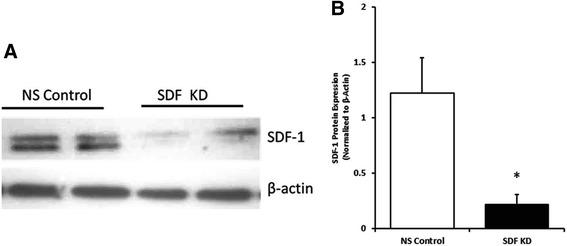 https://cdn.ncbi.nlm.nih.gov/pmc/blobs/c8d8/5506612/a9b6effa36e5/12931_2017_620_Fig1_HTML.jpg