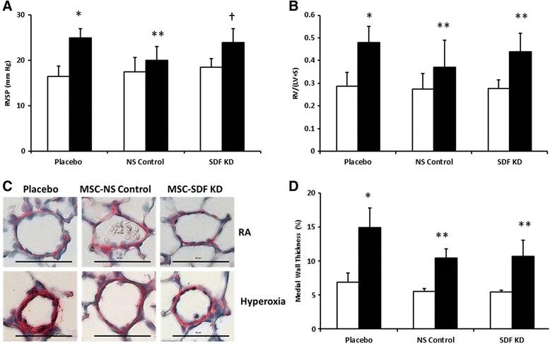 https://cdn.ncbi.nlm.nih.gov/pmc/blobs/c8d8/5506612/f8b6911f4ce2/12931_2017_620_Fig4_HTML.jpg