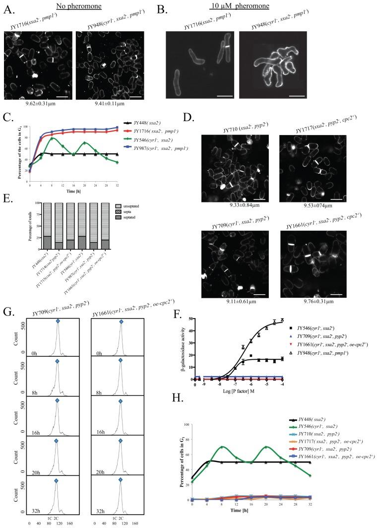 https://cdn.ncbi.nlm.nih.gov/pmc/blobs/c8d9/3701009/b493c0aca33b/pone.0065927.g005.jpg