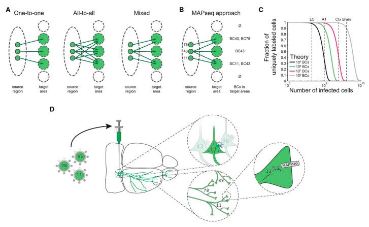 https://cdn.ncbi.nlm.nih.gov/pmc/blobs/c8d9/7349798/9b80b120a149/cells-09-01528-g003.jpg