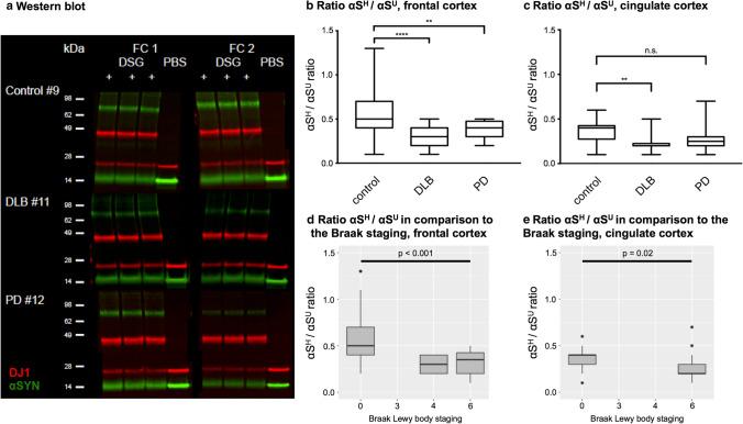 https://cdn.ncbi.nlm.nih.gov/pmc/blobs/c8d9/8960659/7ebed3048849/401_2022_2406_Fig2_HTML.jpg