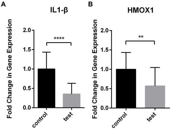 https://cdn.ncbi.nlm.nih.gov/pmc/blobs/c8da/12074931/0416bc99c864/fmed-12-1496834-g008.jpg