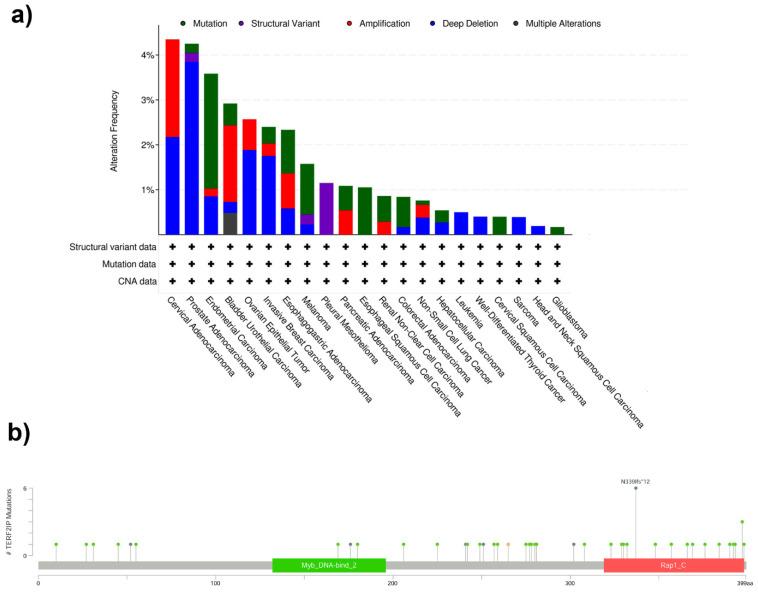 https://cdn.ncbi.nlm.nih.gov/pmc/blobs/c8da/8657031/78ef2f3f19c9/cancers-13-05970-g002.jpg