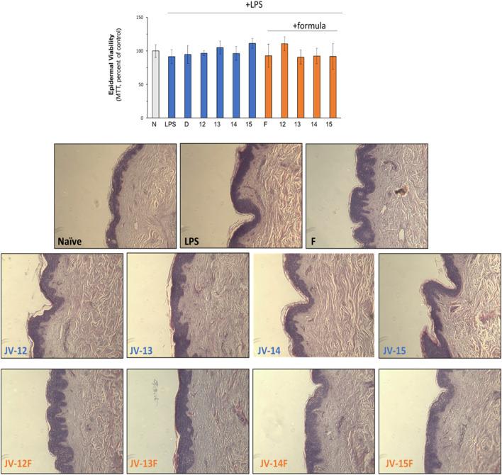 https://cdn.ncbi.nlm.nih.gov/pmc/blobs/c8de/10855461/9a1eee50b7cd/fphar-15-1333085-g003.jpg