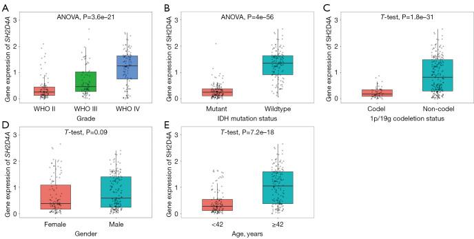 https://cdn.ncbi.nlm.nih.gov/pmc/blobs/c8de/11384316/c1618f255cba/tcr-13-08-4242-f2.jpg