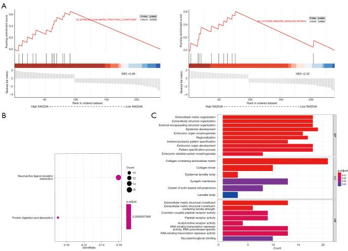 https://cdn.ncbi.nlm.nih.gov/pmc/blobs/c8de/11384316/ff1ac3e4724b/tcr-13-08-4242-f7.jpg