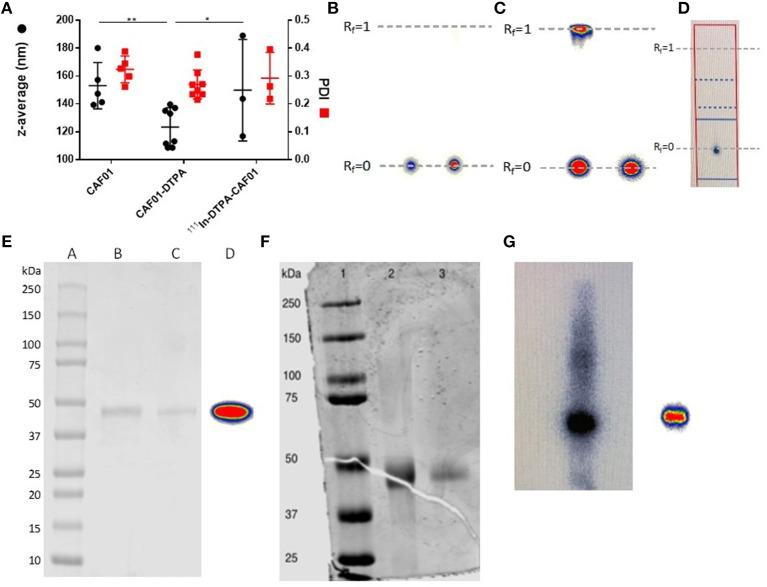 https://cdn.ncbi.nlm.nih.gov/pmc/blobs/c8de/6284049/3238244696e4/fimmu-09-02825-g0001.jpg