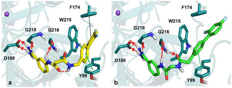 https://cdn.ncbi.nlm.nih.gov/pmc/blobs/c8e0/9268553/a9935e655079/molecules-27-04269-g002.jpg