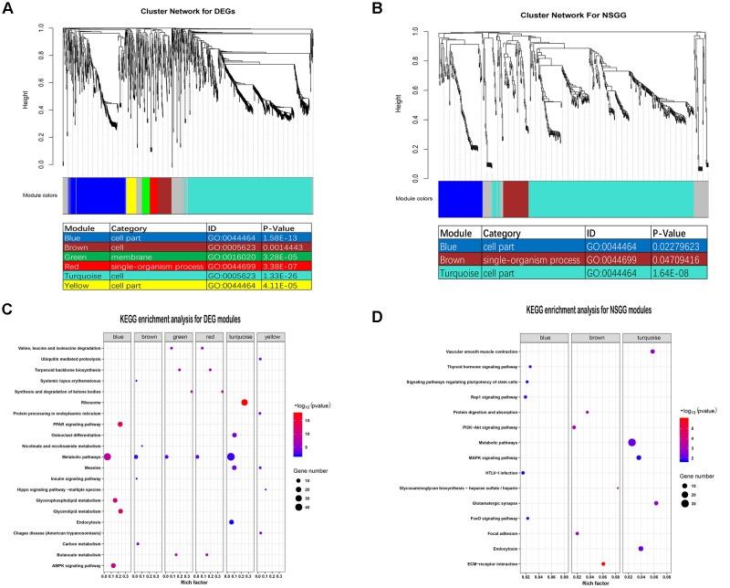 https://cdn.ncbi.nlm.nih.gov/pmc/blobs/c8e1/6371051/5bd283b126c5/fgene-10-00036-g003.jpg