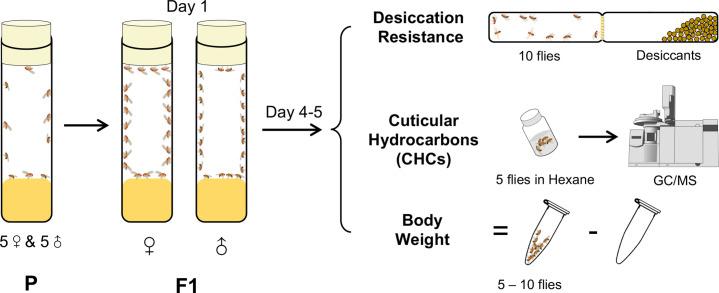 https://cdn.ncbi.nlm.nih.gov/pmc/blobs/c8e1/9757832/bc67a4314287/elife-80859-fig1.jpg
