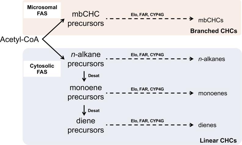 https://cdn.ncbi.nlm.nih.gov/pmc/blobs/c8e1/9757832/d4f45fd9ad3a/elife-80859-fig5-figsupp8.jpg