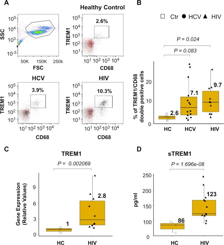 https://cdn.ncbi.nlm.nih.gov/pmc/blobs/c8e2/6625740/227d4433e51a/ppat.1007883.g008.jpg