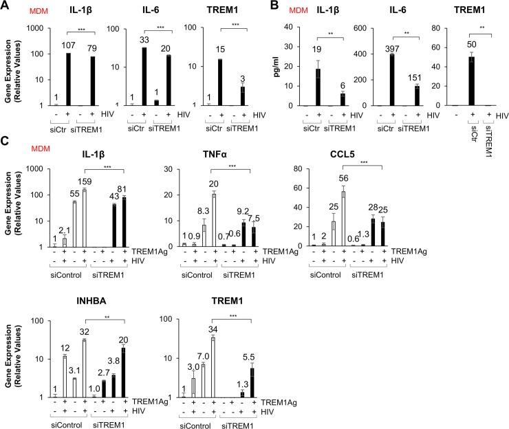 https://cdn.ncbi.nlm.nih.gov/pmc/blobs/c8e2/6625740/8b5eb764242b/ppat.1007883.g007.jpg