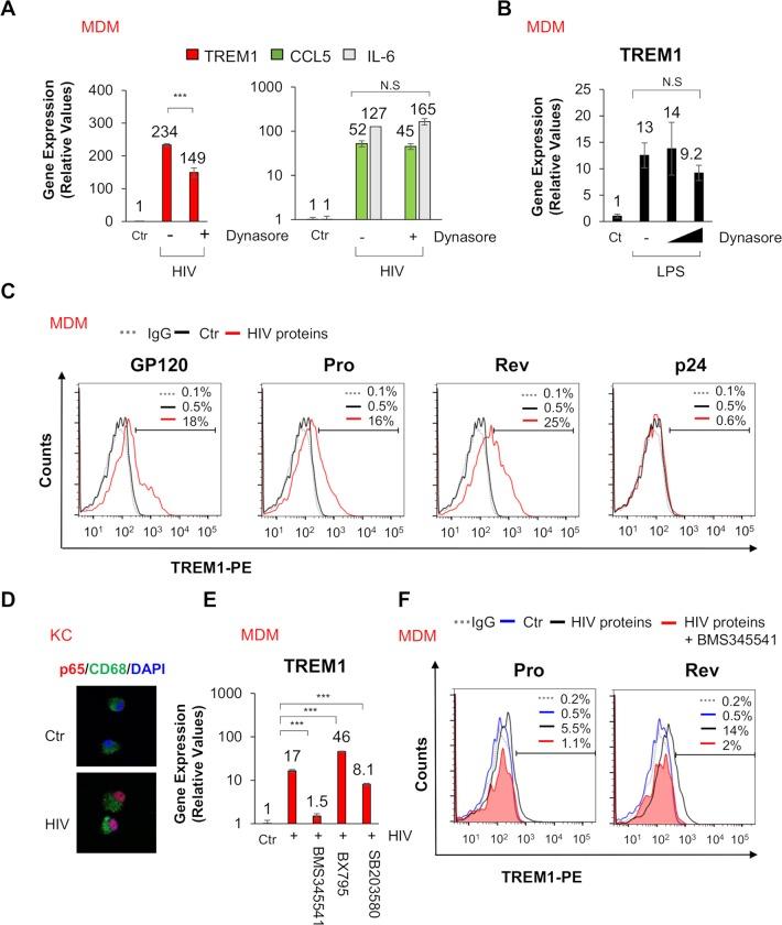 https://cdn.ncbi.nlm.nih.gov/pmc/blobs/c8e2/6625740/c4e974c088a9/ppat.1007883.g004.jpg