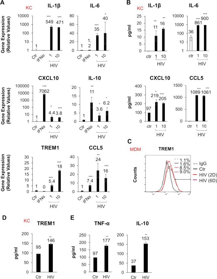 https://cdn.ncbi.nlm.nih.gov/pmc/blobs/c8e2/6625740/e4611672a285/ppat.1007883.g003.jpg
