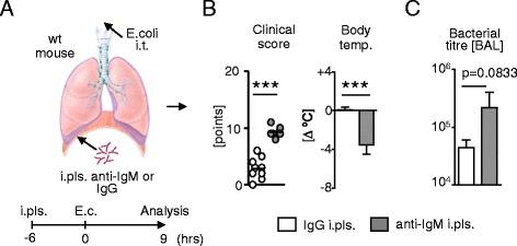 https://cdn.ncbi.nlm.nih.gov/pmc/blobs/c8e4/4336760/6e7fe1f62642/12890_2015_10_Fig6_HTML.jpg