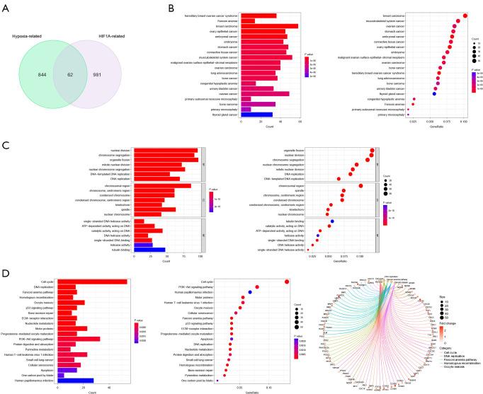 https://cdn.ncbi.nlm.nih.gov/pmc/blobs/c8e5/12170269/77b7e722e716/tcr-14-05-3113-f6.jpg