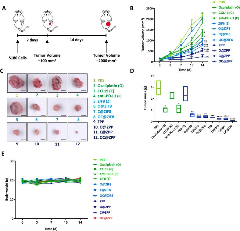 https://cdn.ncbi.nlm.nih.gov/pmc/blobs/c8e5/12320706/85eda08e68a9/gr4.jpg