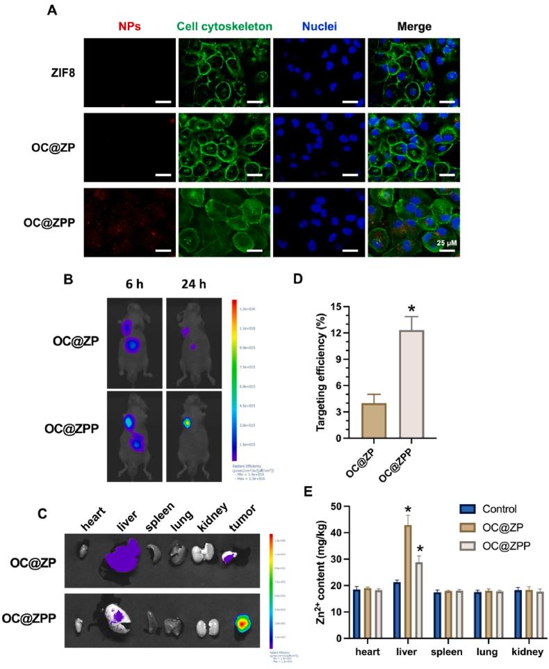 https://cdn.ncbi.nlm.nih.gov/pmc/blobs/c8e5/12320706/98be72680996/gr2.jpg