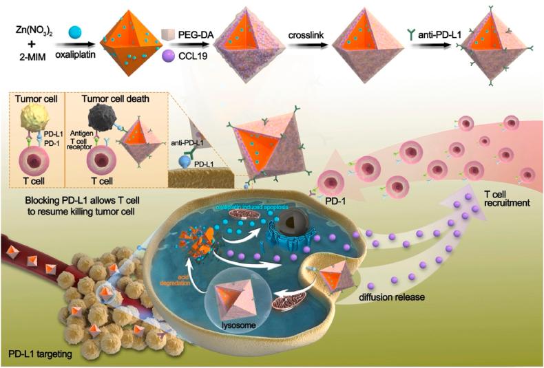 https://cdn.ncbi.nlm.nih.gov/pmc/blobs/c8e5/12320706/cf08258df6cd/sc1.jpg