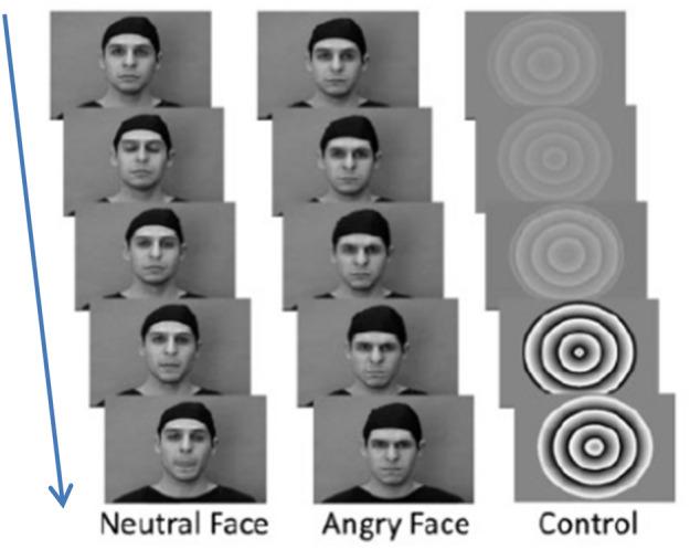 https://cdn.ncbi.nlm.nih.gov/pmc/blobs/c8e6/9343289/a9a4fd5d8327/787_2021_1770_Fig1_HTML.jpg