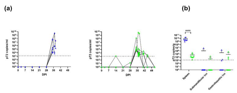 https://cdn.ncbi.nlm.nih.gov/pmc/blobs/c8e6/9503863/9e3a67661b21/viruses-14-01917-g003.jpg