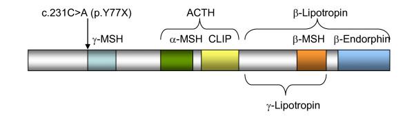 https://cdn.ncbi.nlm.nih.gov/pmc/blobs/c8e9/3159139/2b8cfd907544/1687-9856-2011-5-3.jpg