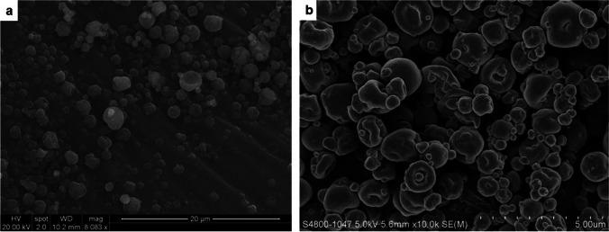 https://cdn.ncbi.nlm.nih.gov/pmc/blobs/c8ea/10072922/1e18c6121247/12249_2023_2559_Fig3_HTML.jpg