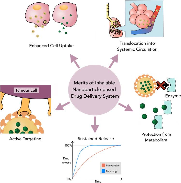 https://cdn.ncbi.nlm.nih.gov/pmc/blobs/c8ea/10072922/b494bf126c5a/12249_2023_2559_Fig1_HTML.jpg