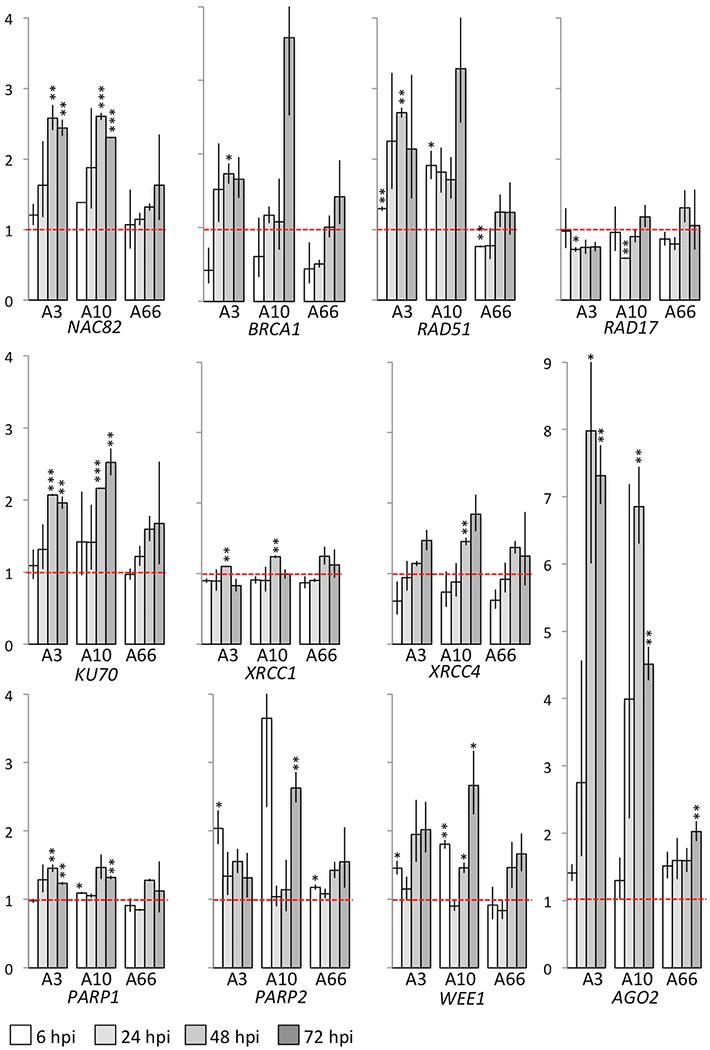 https://cdn.ncbi.nlm.nih.gov/pmc/blobs/c8ec/8086903/bf7f8e87ce5e/nihms-1689594-f0002.jpg
