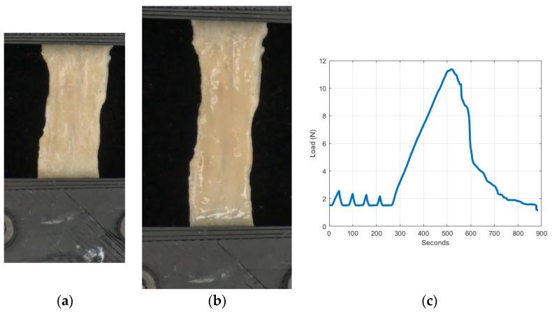 https://cdn.ncbi.nlm.nih.gov/pmc/blobs/c8ed/10813287/7cfb0fca369c/bioengineering-11-00064-g004.jpg