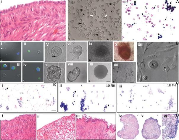 https://cdn.ncbi.nlm.nih.gov/pmc/blobs/c8ee/6469380/10deabfd2248/IJMR-148-38-g005.jpg