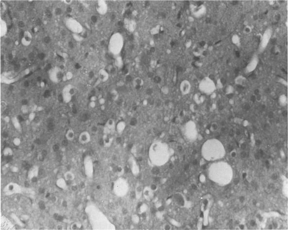 https://cdn.ncbi.nlm.nih.gov/pmc/blobs/c8ef/1475124/70aa4c9d75c3/envhper00497-0175-a.jpg
