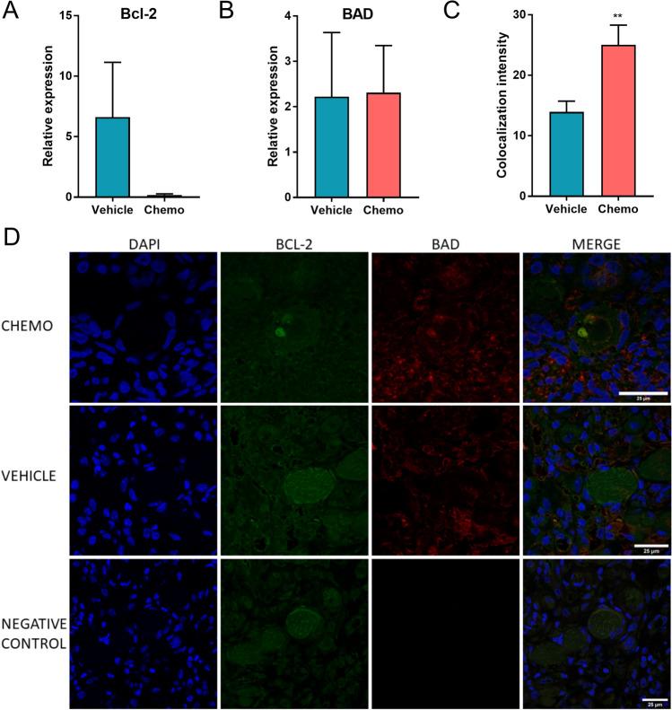 https://cdn.ncbi.nlm.nih.gov/pmc/blobs/c8f0/7801500/3f88d03ee75c/41598_2020_79643_Fig5_HTML.jpg