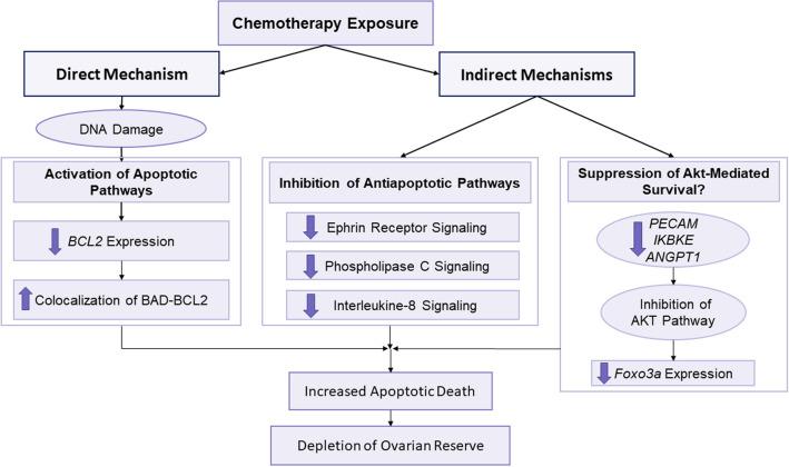 https://cdn.ncbi.nlm.nih.gov/pmc/blobs/c8f0/7801500/f822af3f571b/41598_2020_79643_Fig6_HTML.jpg