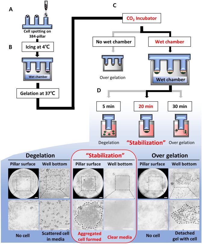 https://cdn.ncbi.nlm.nih.gov/pmc/blobs/c8f2/9640609/55ae79ff6f8b/41598_2022_23474_Fig2_HTML.jpg