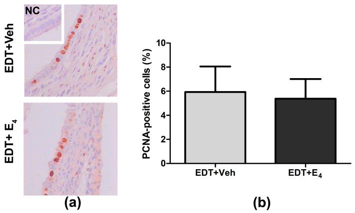 https://cdn.ncbi.nlm.nih.gov/pmc/blobs/c8f4/11118049/9fa0ae0fb0ac/biomolecules-14-00580-g002.jpg